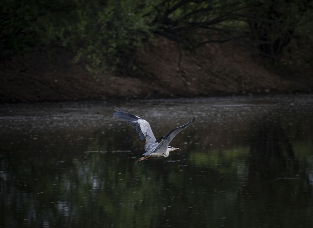 Photograph by Irina Luidinshina