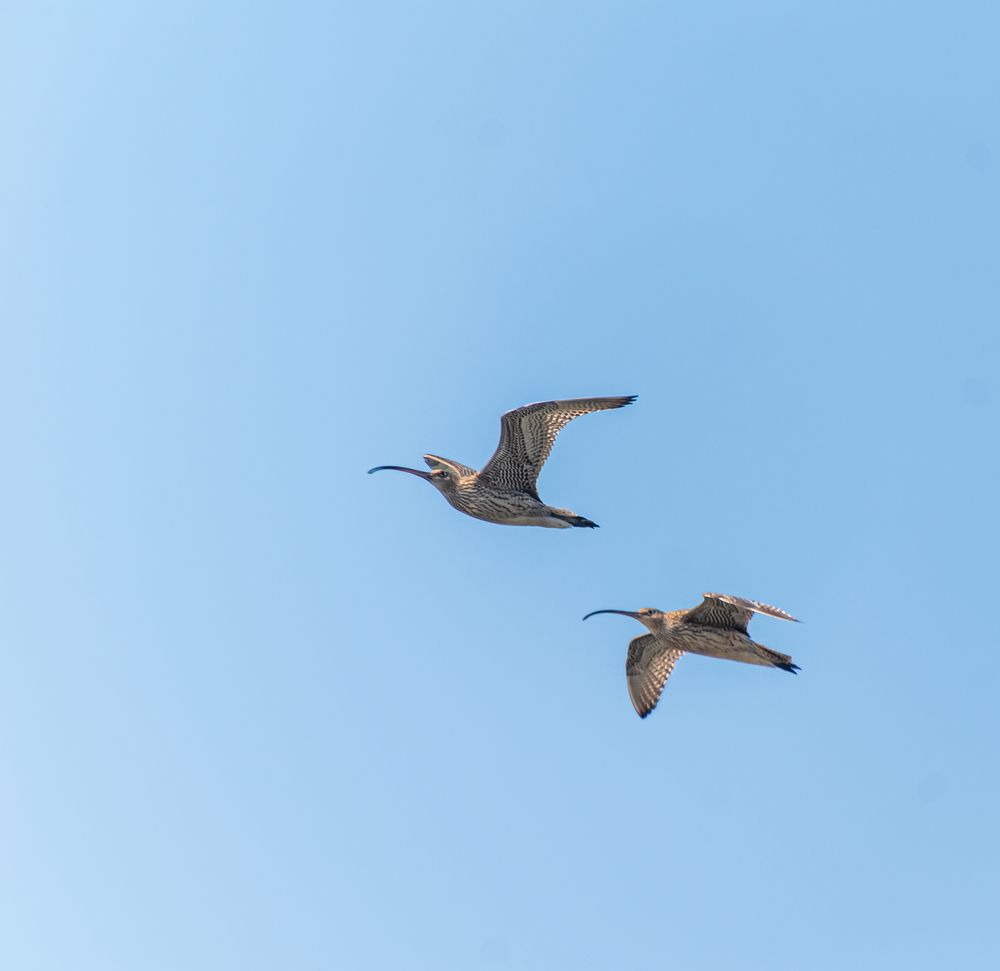 Photograph by Irina Luidinshina