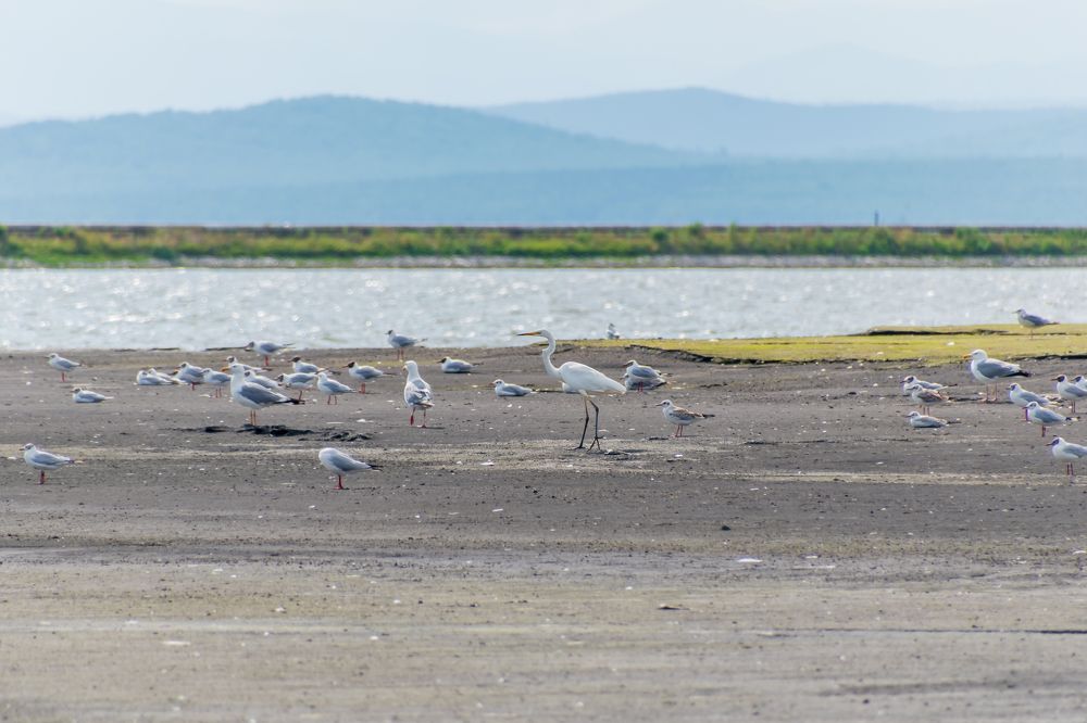 Photograph by Irina Luidinshina