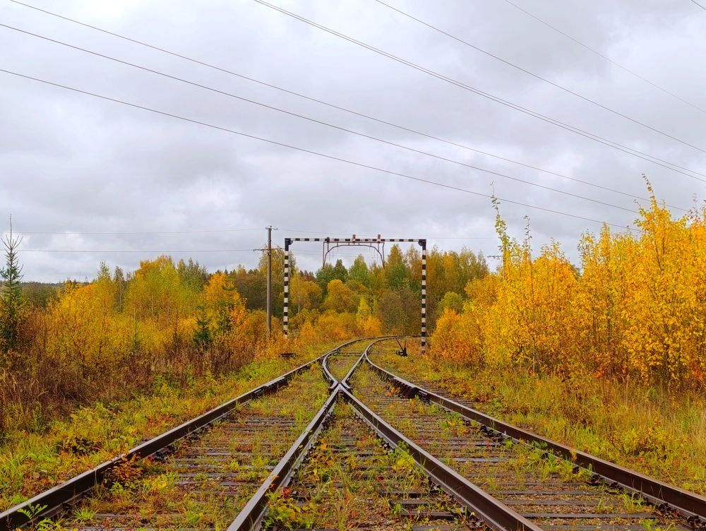 Photograph by Юлия Смирнова