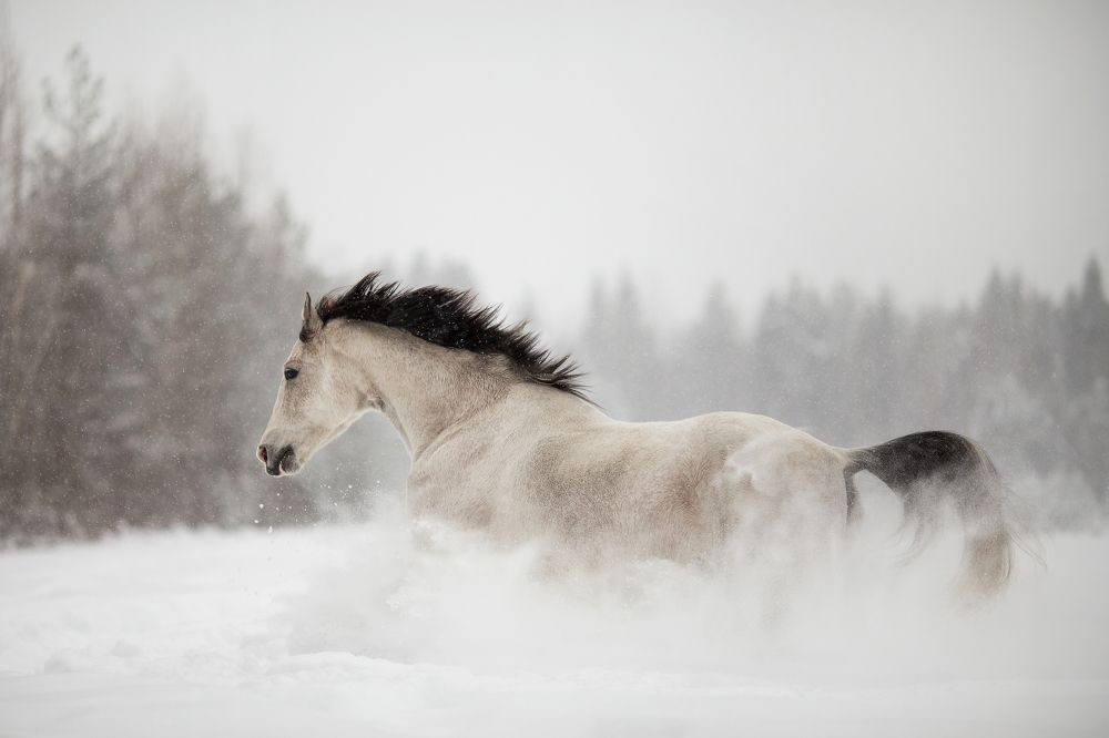 Фотография автора Анна