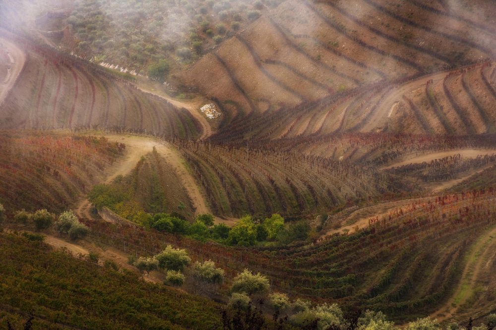 Photograph by Валерия Трейтяк