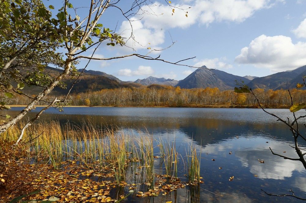 Photograph by Наталья Турчик