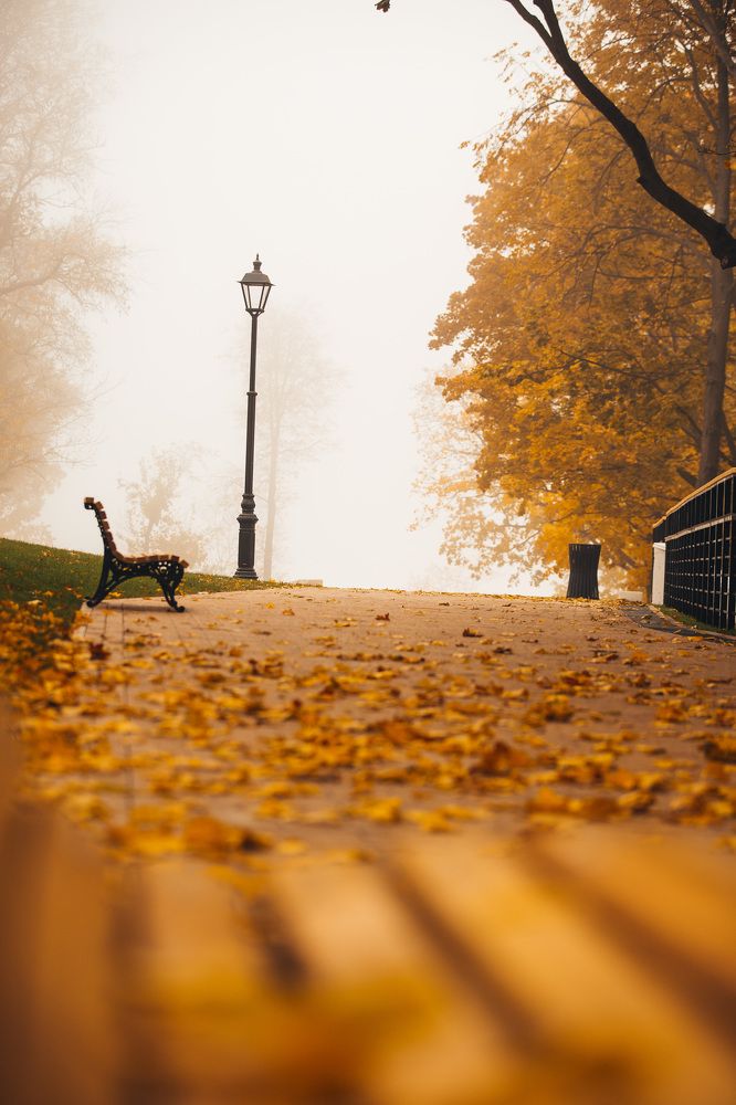 Photograph by Алексей Сулла