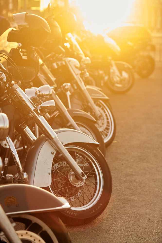 Photograph by Светлана Сафонова