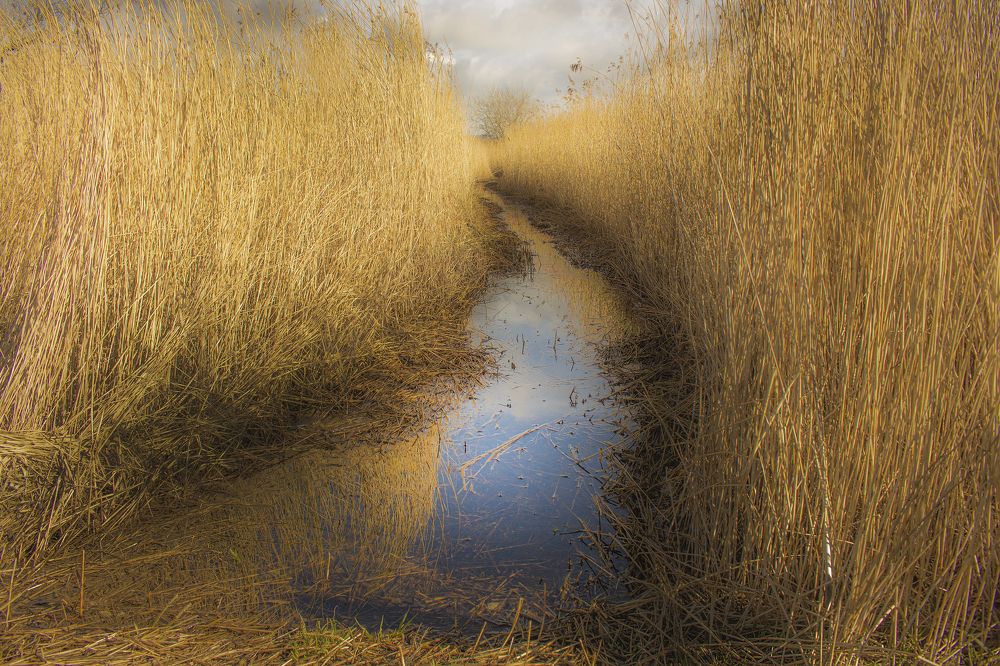 Photograph by Viviana García