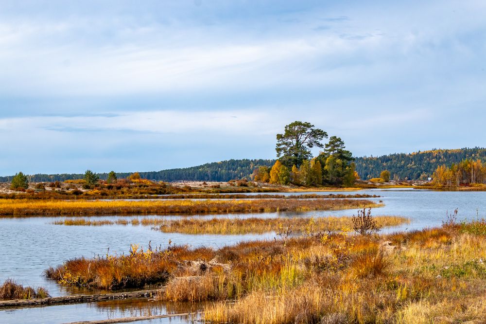 Photograph by Геннадий Лосев