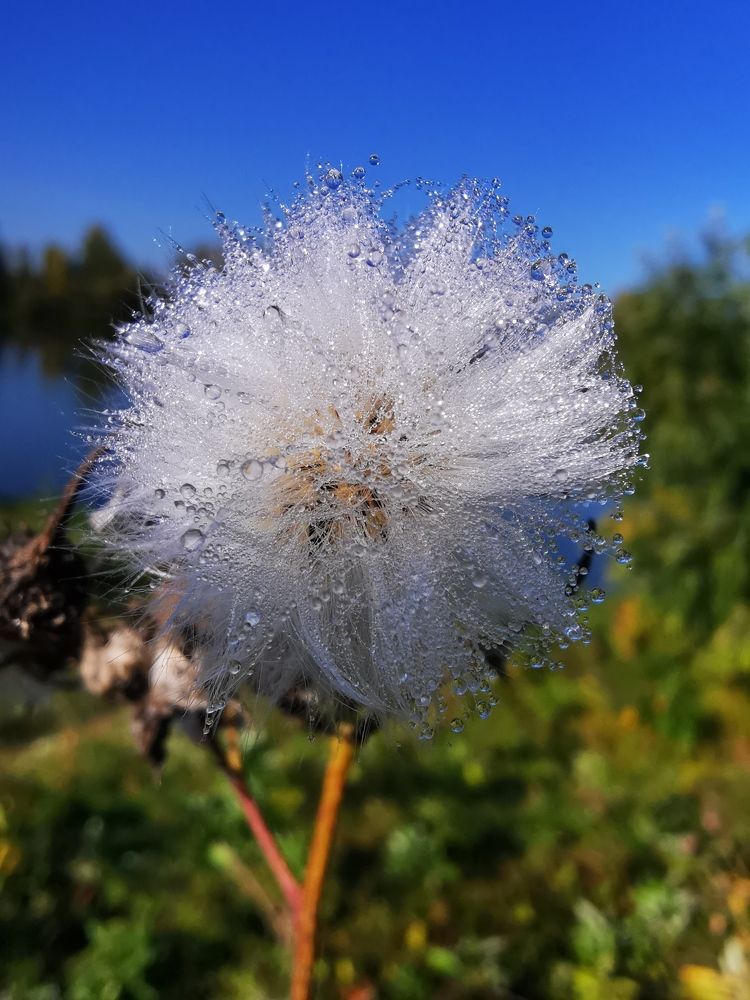 Photograph by Ксения