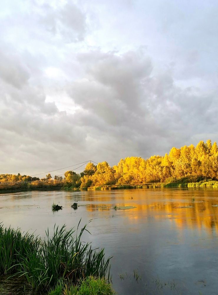 Photograph by Александра Насырова