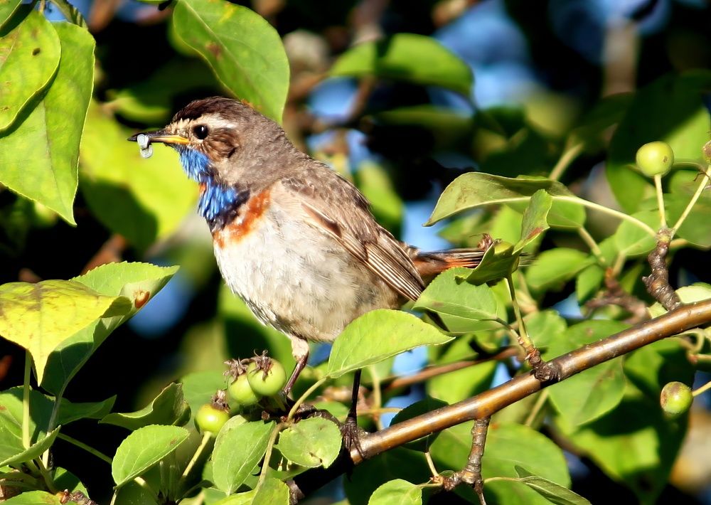 Photograph by Глеб Кузьминых