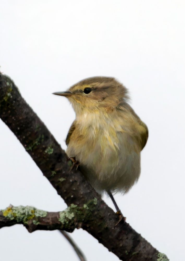 Photograph by Глеб Кузьминых