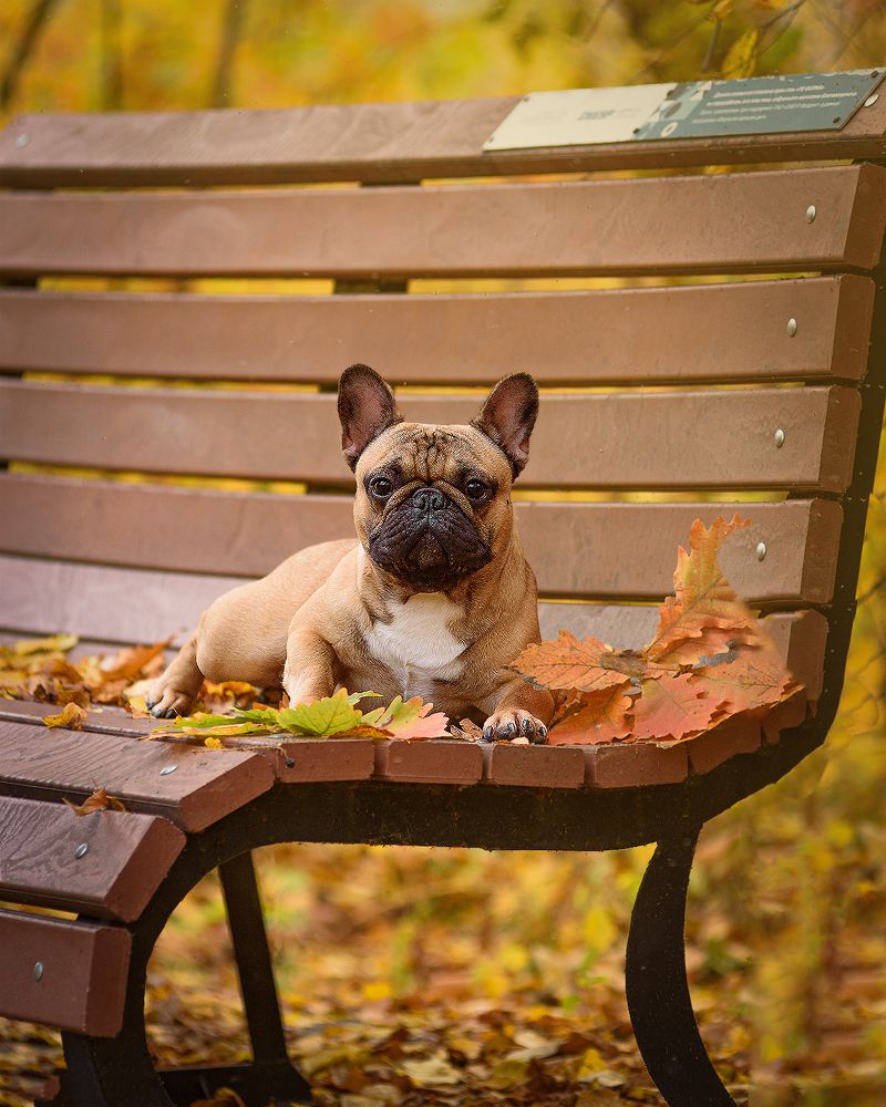 Photograph by Виктория Сафонова