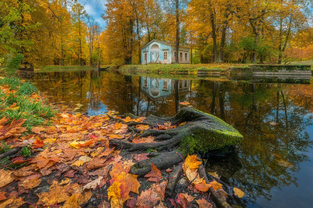 Photograph by Alexander Pashenichev