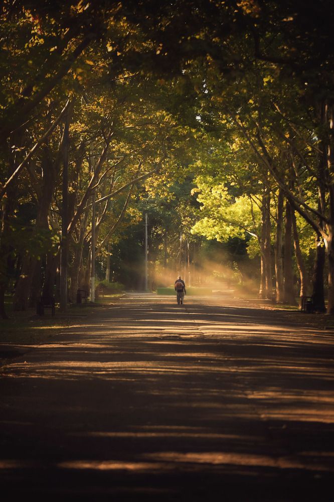Photograph by Владимир Кульбит