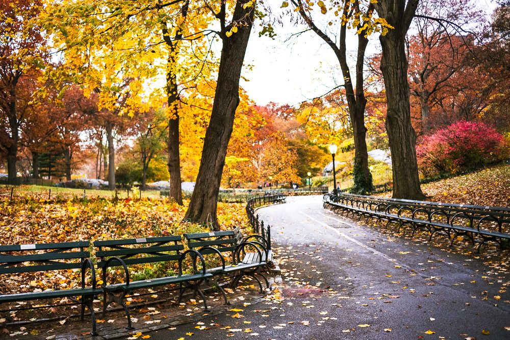 Photograph by Кермен Манджиева