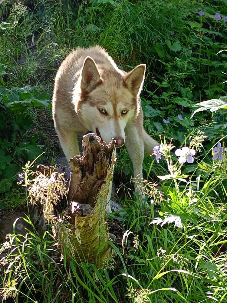 Фотография автора Екатерина