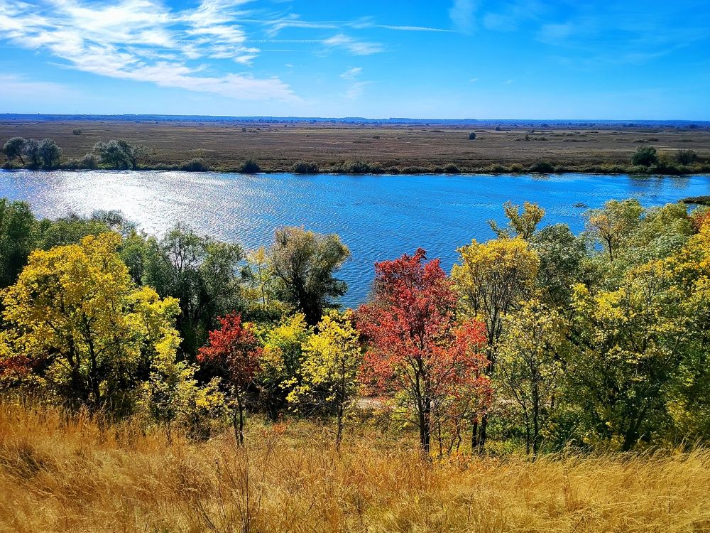 Осенняя палитра