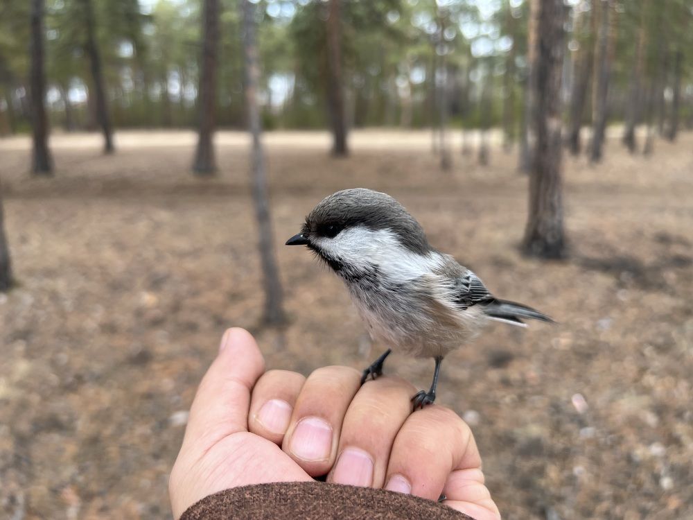 Photograph by Владислав Иванов
