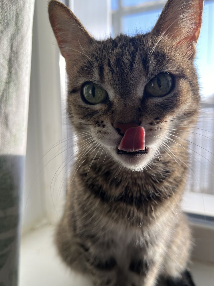 Photograph by Владислав Иванов