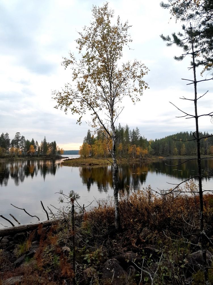 Карельский пейзаж