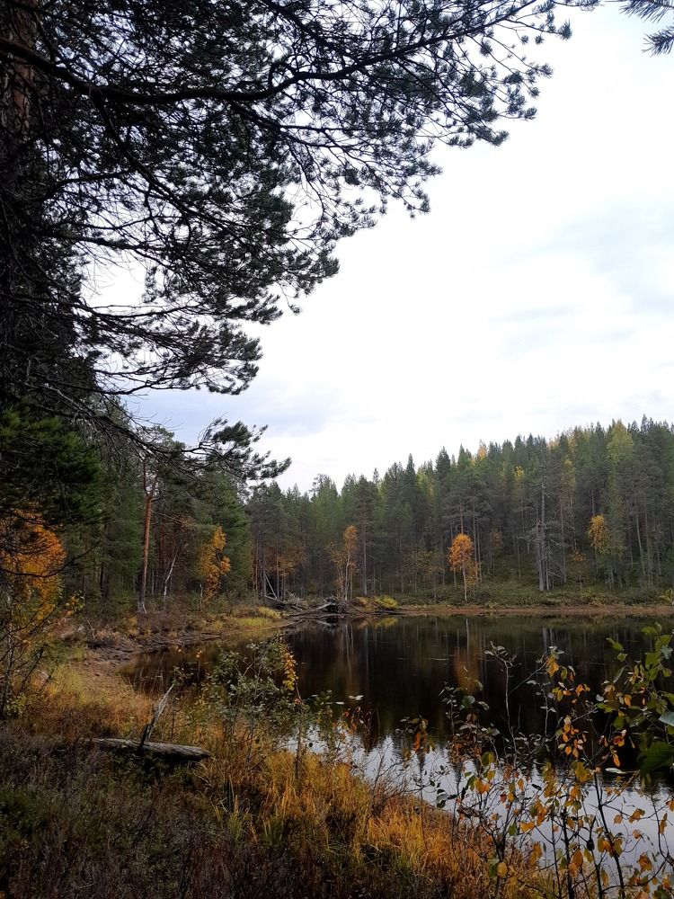 Photo #11098978