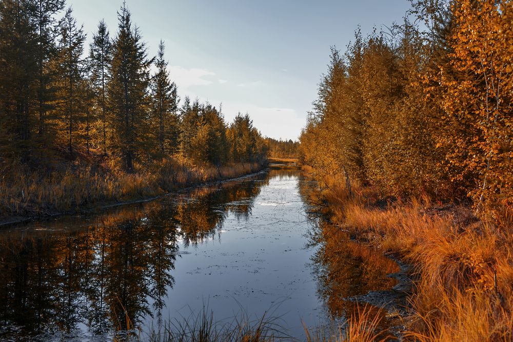Photograph by Александр Шипиленко