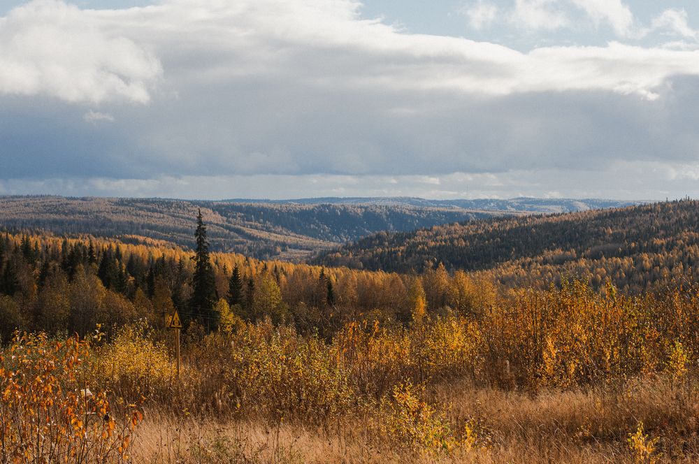 Фотография автора Мария Михайлова
