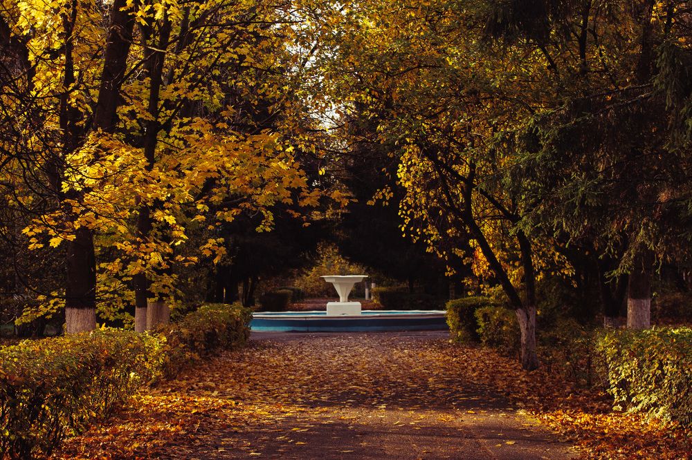 Photograph by Алексей Сулла