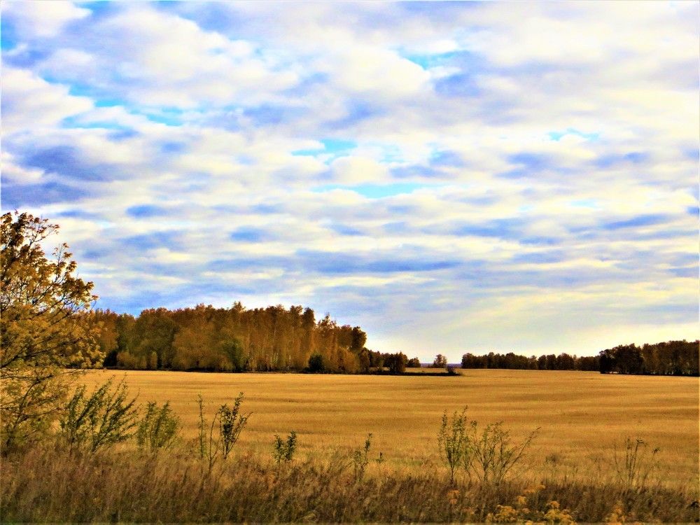 Photograph by Галина