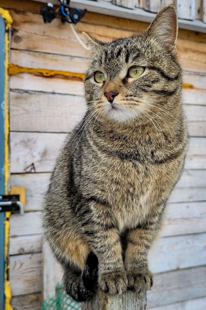 Photograph by Сергей Назаредский