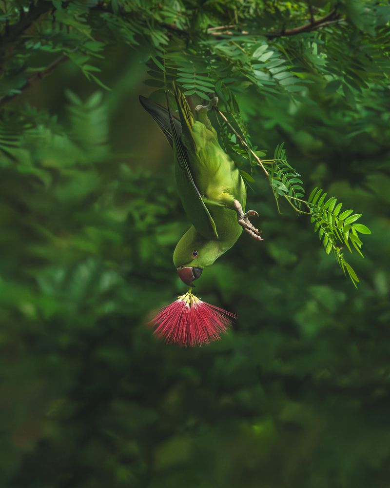 Photograph by Siddhartha Roy Choudhury