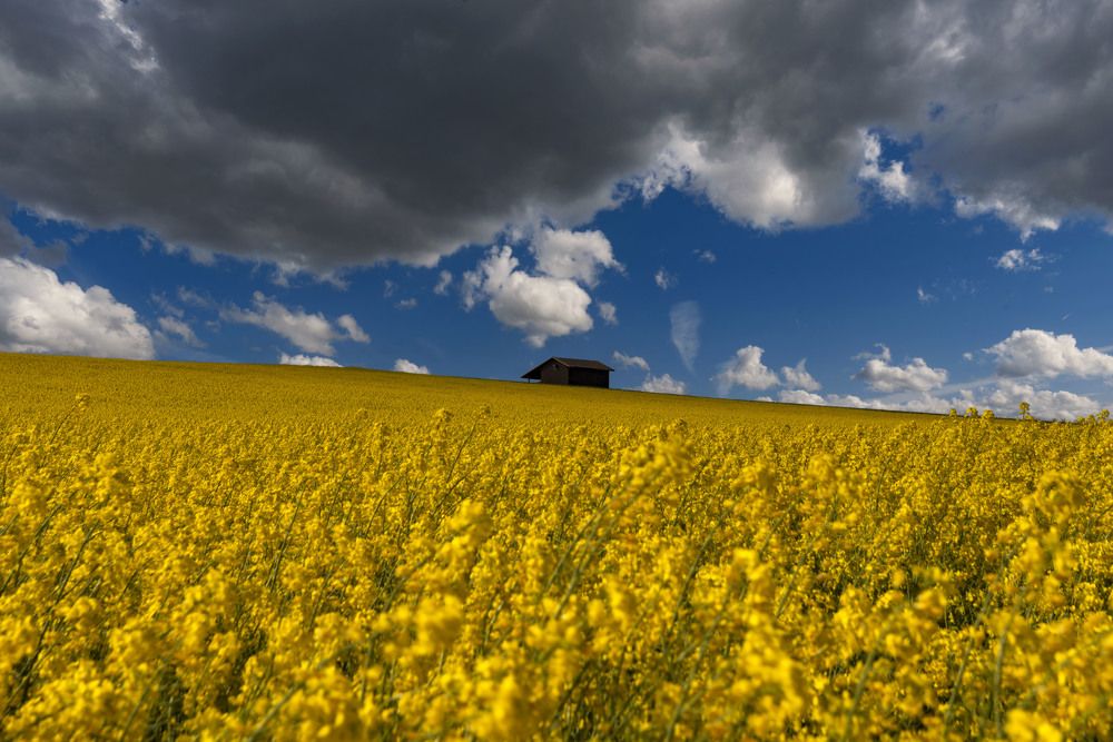 Photograph by asan kurtishi