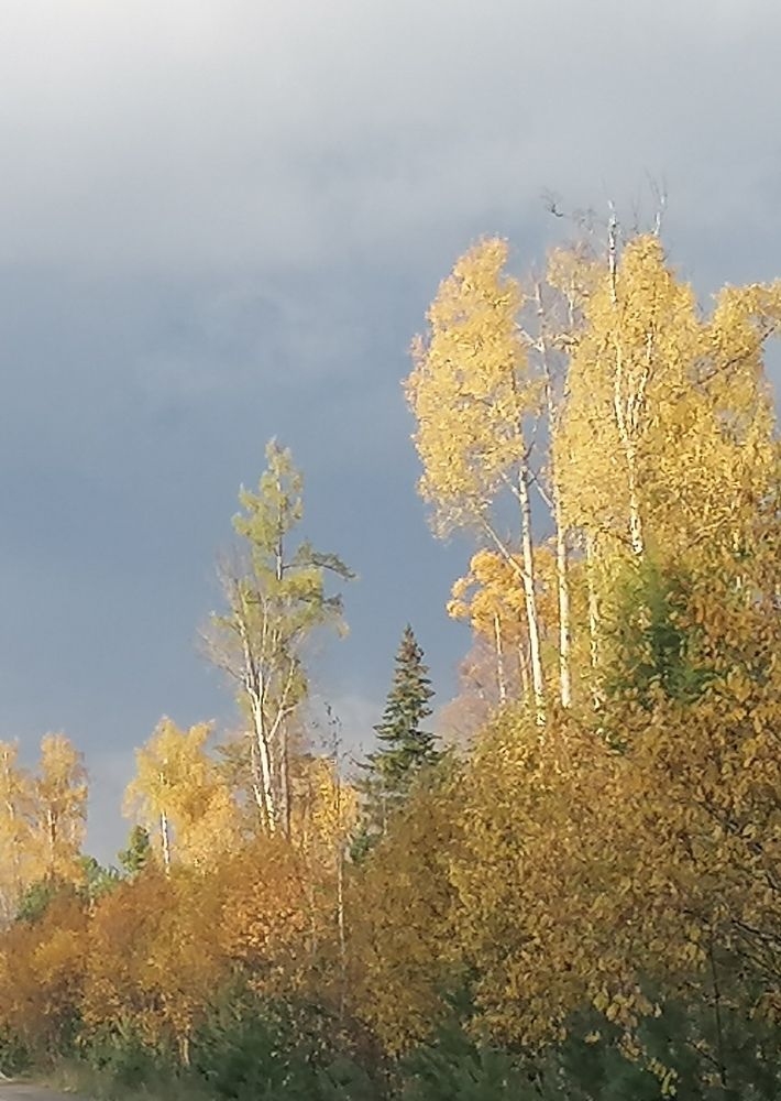 Photograph by Наталья Петухова