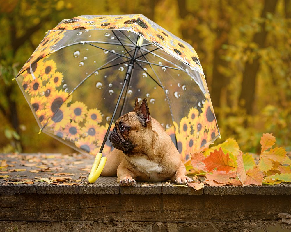 Photograph by Виктория Сафонова