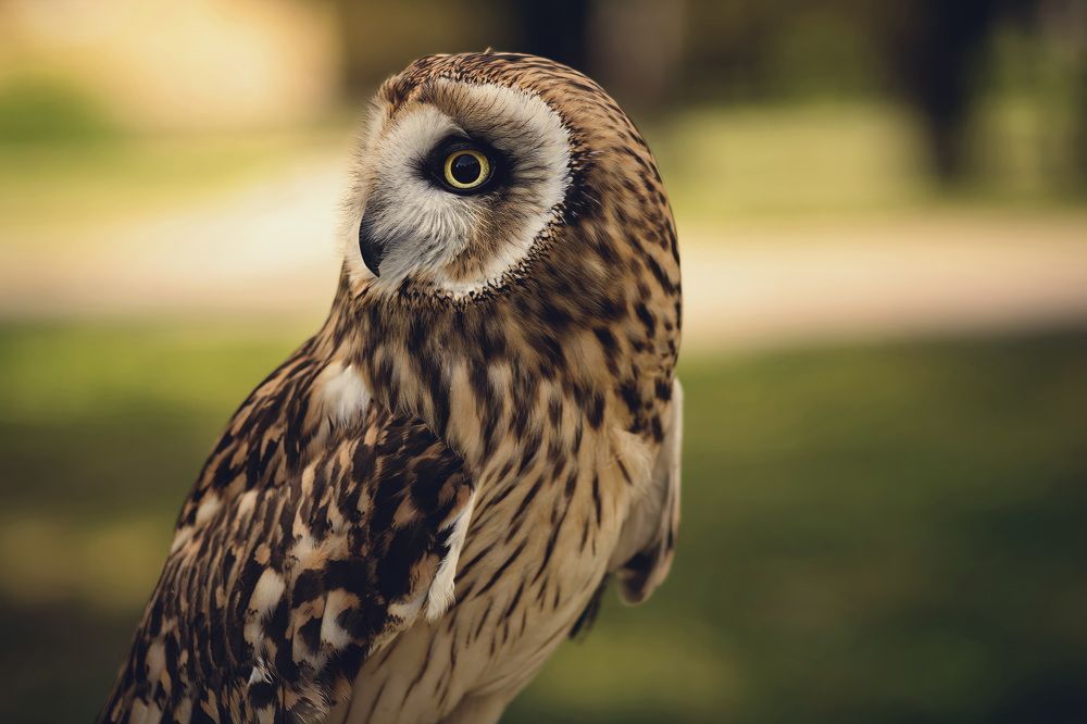 Фотография автора Александр Черепанов