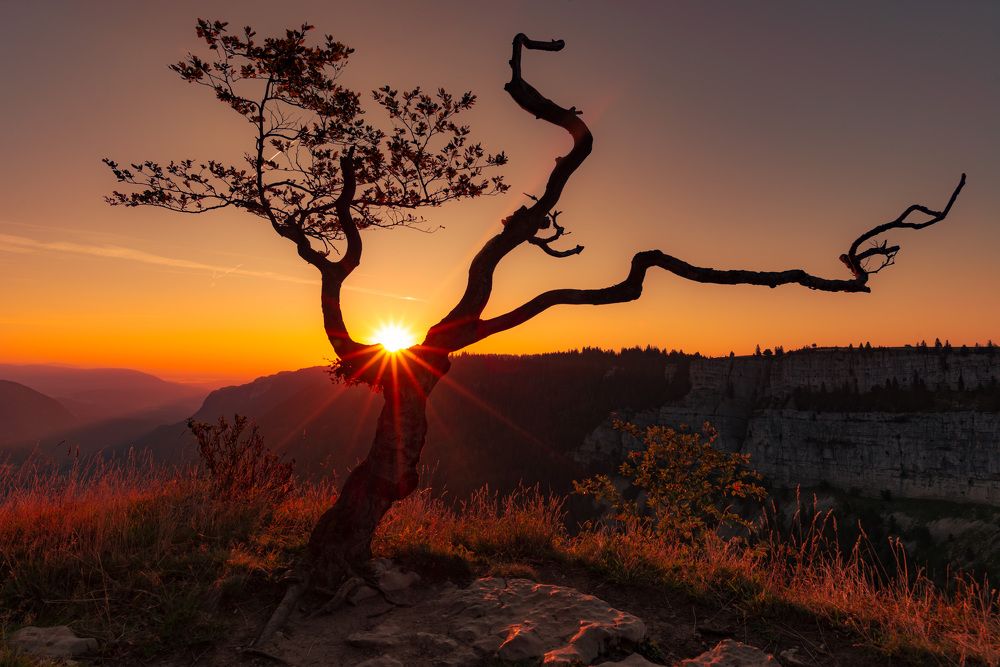 Photograph by asan kurtishi