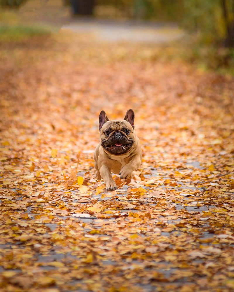 Photograph by Виктория Сафонова