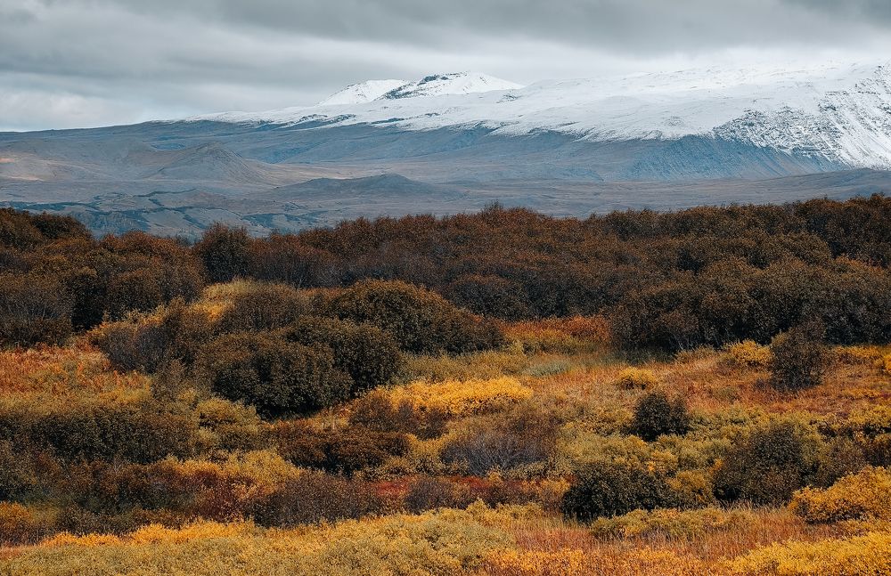 Photograph by Константин Пешков