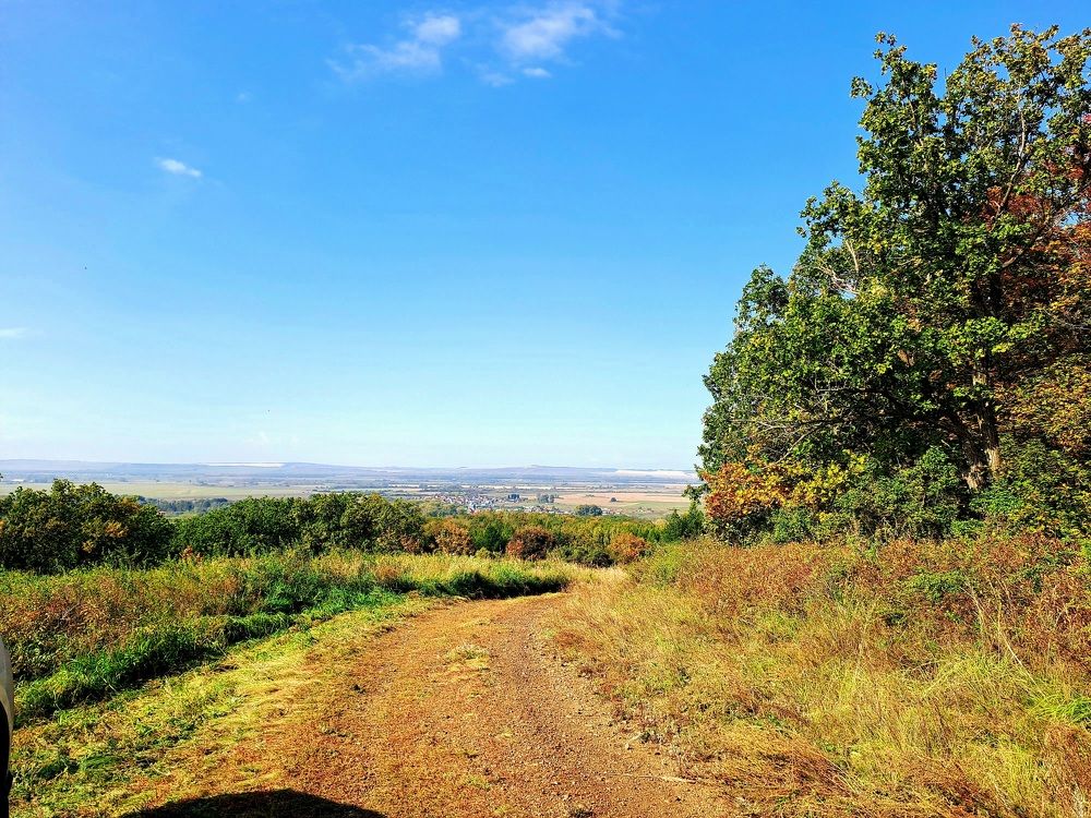 Photograph by Александра Насырова