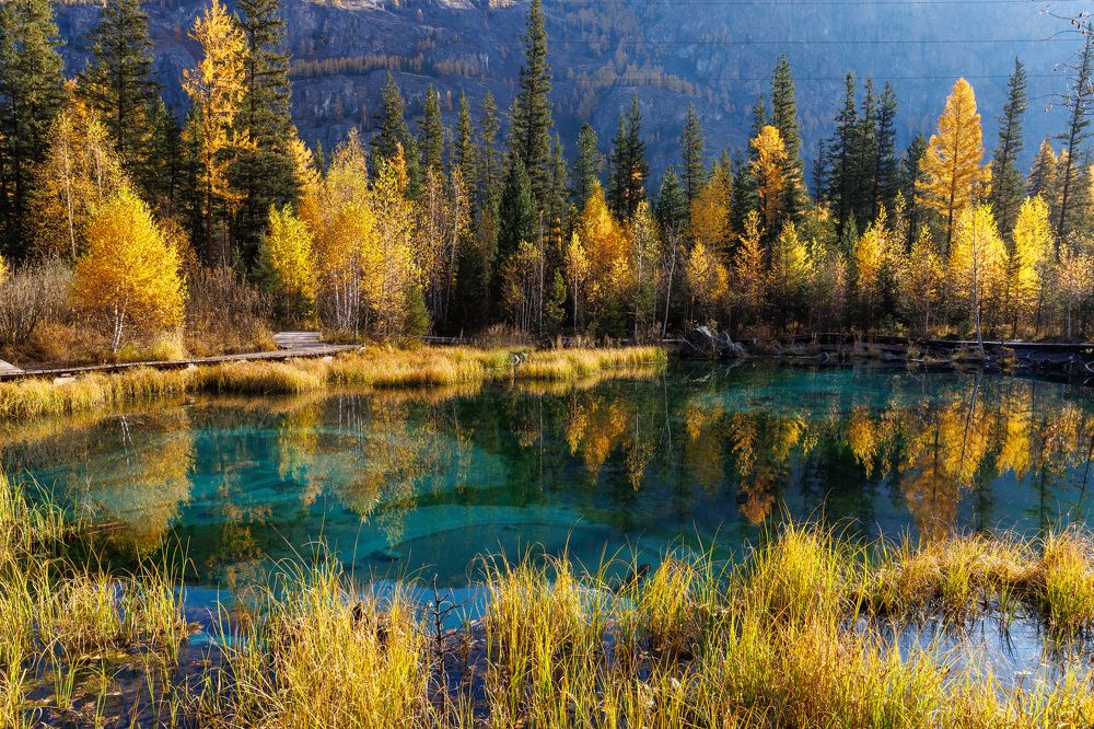 Photograph by Людмила Аксенова