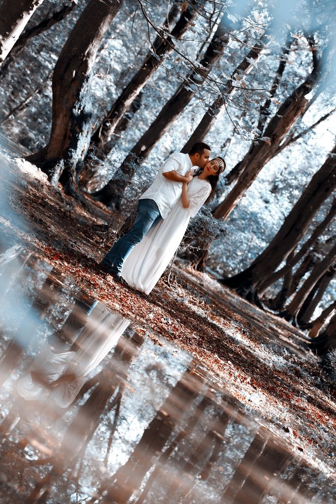 Photograph by Farinaz Bagherpour