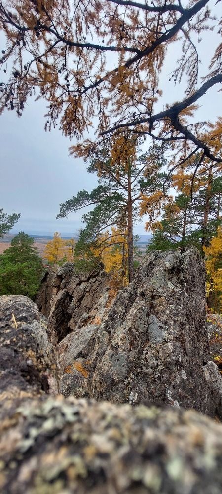 Photograph by Анастасия