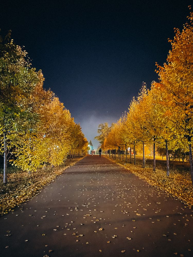 Photograph by Ляйсан Саляхиева