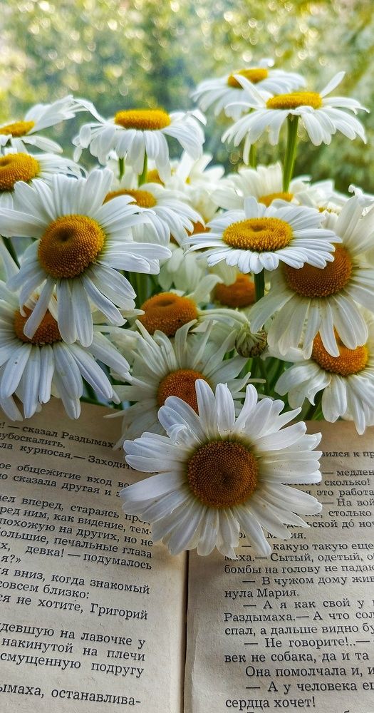 Photograph by Ангелина Ядкова