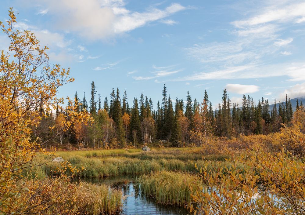 Фотография автора Андрей Русских