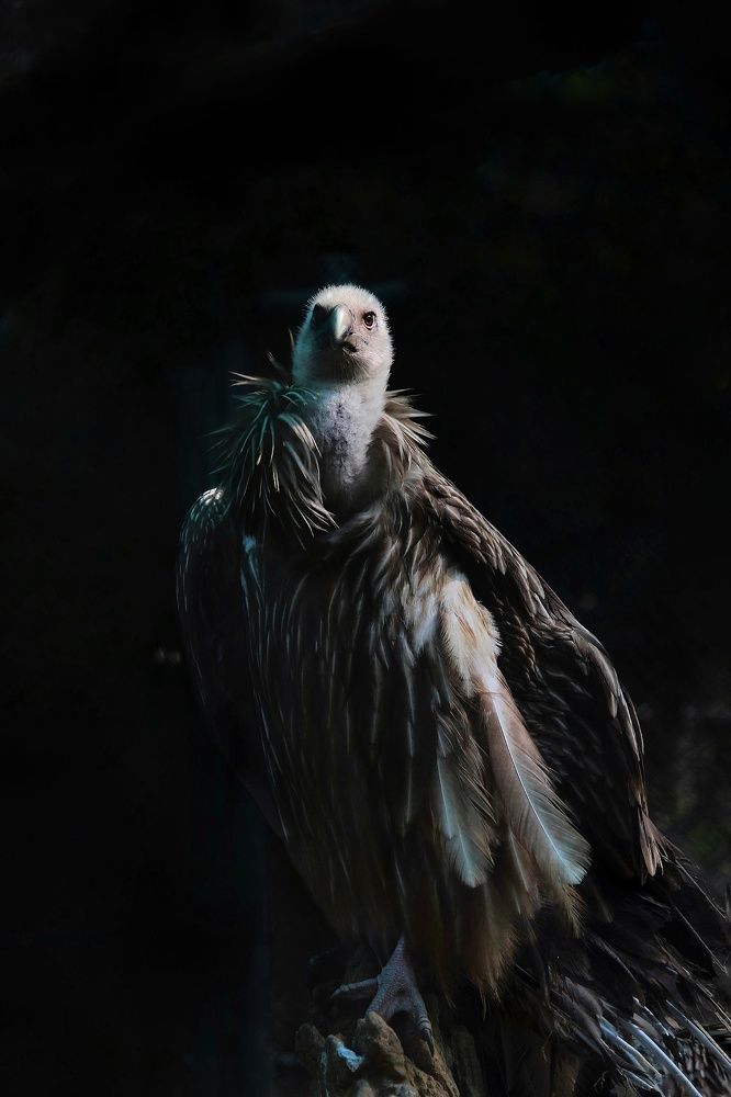 Photograph by Harsh Srivastava