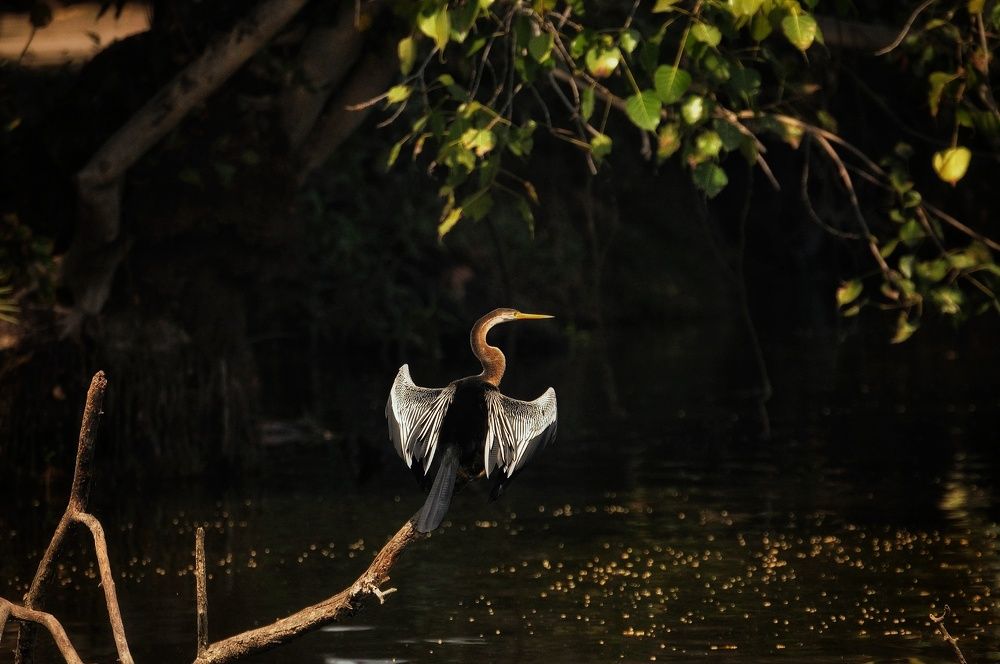 Photograph by Harsh Srivastava