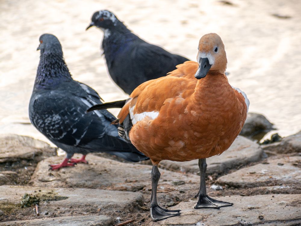 Photograph by Максим Жухлистов