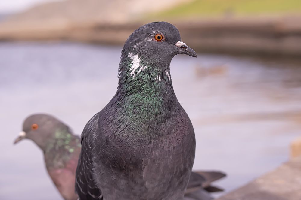 Photograph by Бурикова Екатерина