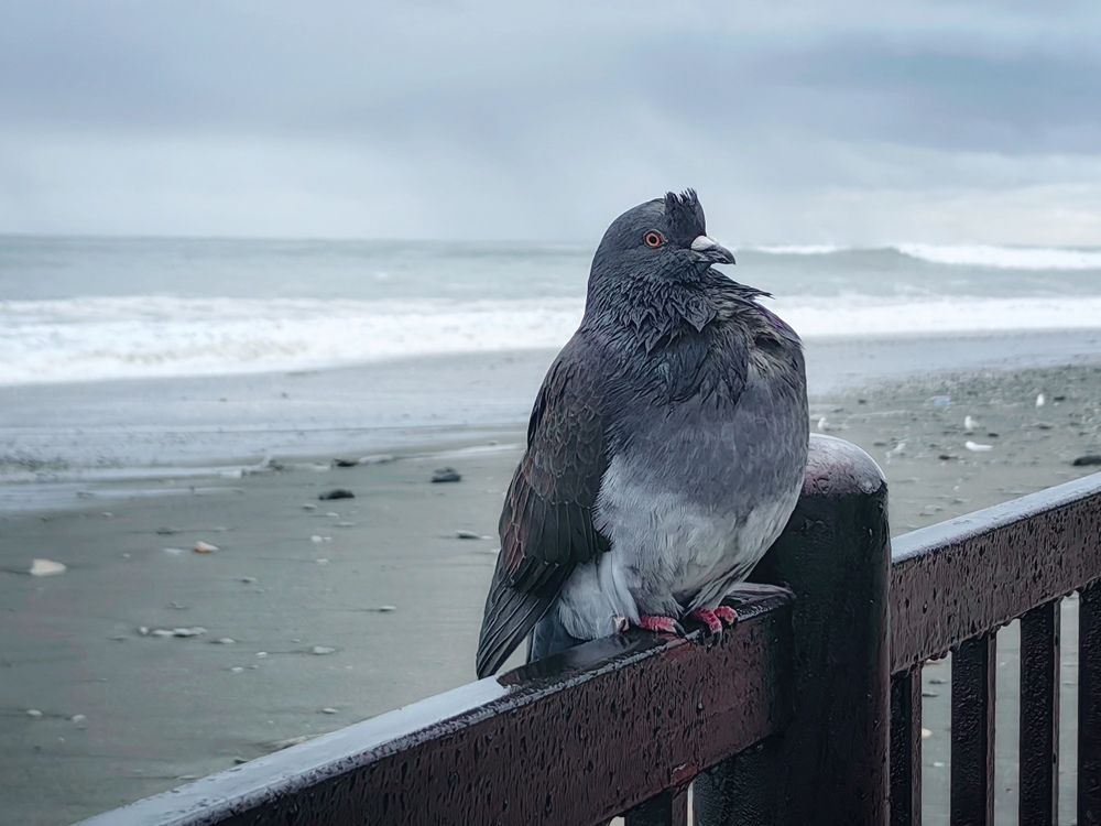 Photograph by Maiya Bulatova